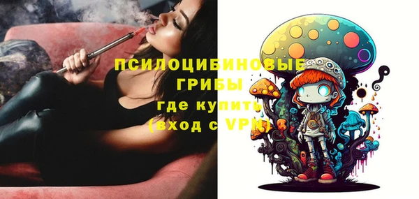 мдпв Лагань