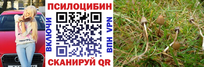 Псилоцибиновые грибы прущие грибы купить сайты Братск